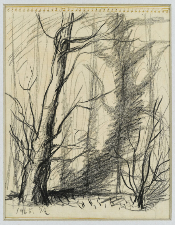 Kwun Suncheol, 나무 Tree, 1965, Pencil on paper, 26.5 x 21cm